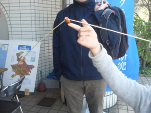 作品 d
